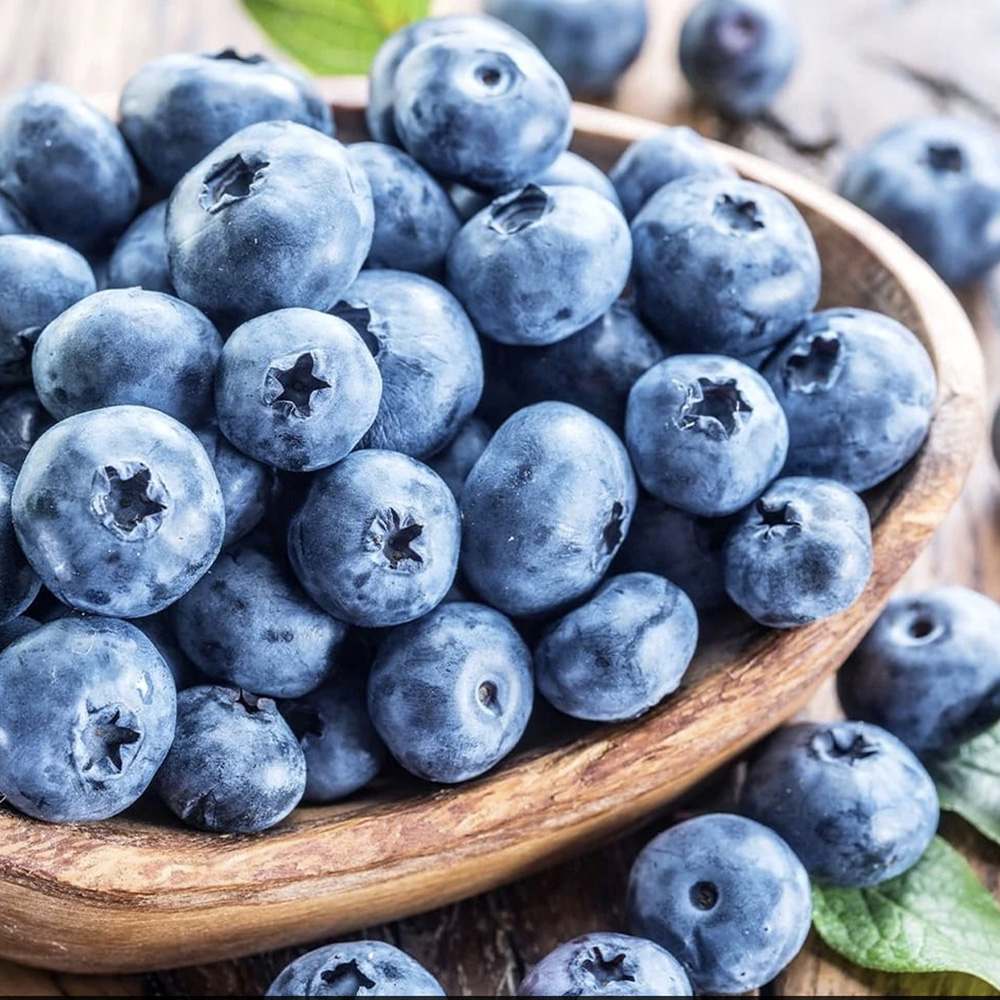 Afin Brigitta Blue (Vaccinium corymbosum), cu fructe ferme dulci-acrisoare, an 1 pe rod - Image 3