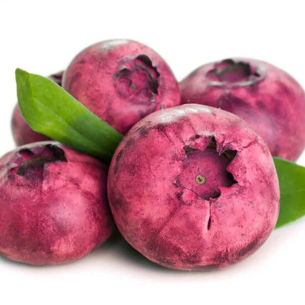 Afin Pink Lemonade (Vaccinium), cu fructe roz-rosu dulci-acrisoare, an 1 pe rod - Image 8