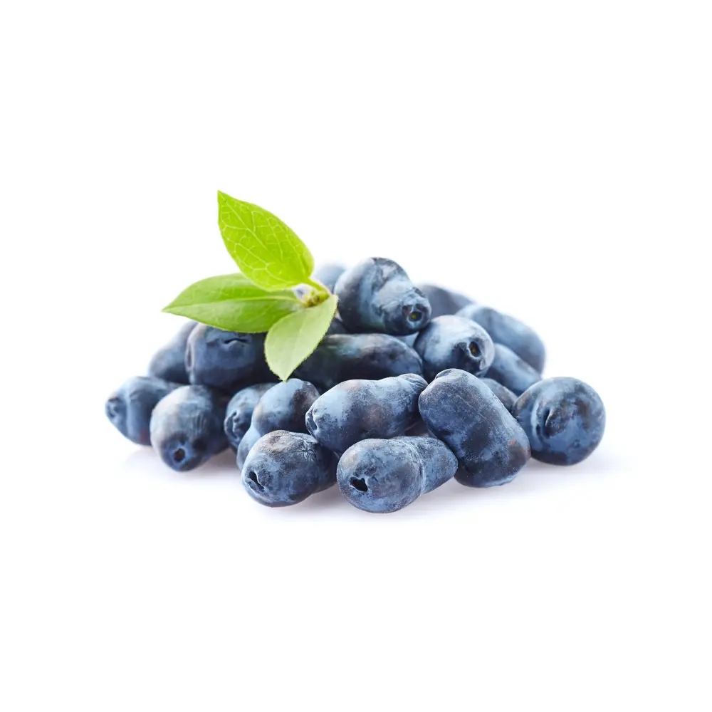 Afin Siberian (Lonicera caerulea Kamtschatica), Fructe albastre, unice, cu un gust dulce-acrisor deosebit - Image 7