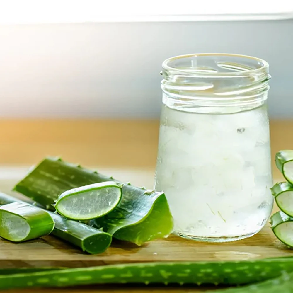 Aloe Vera planta in ghiveci,  50-60 cm, gel natural pentru piele, ingrijire si vindecare - Image 16