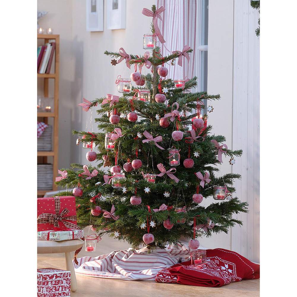 Brad de Craciun Nordmann (Abies Nordmanniana), brad vesnic verde, rezistent la ger, crestere moderata, Ideal pentru gradina sau craciun - Image 13