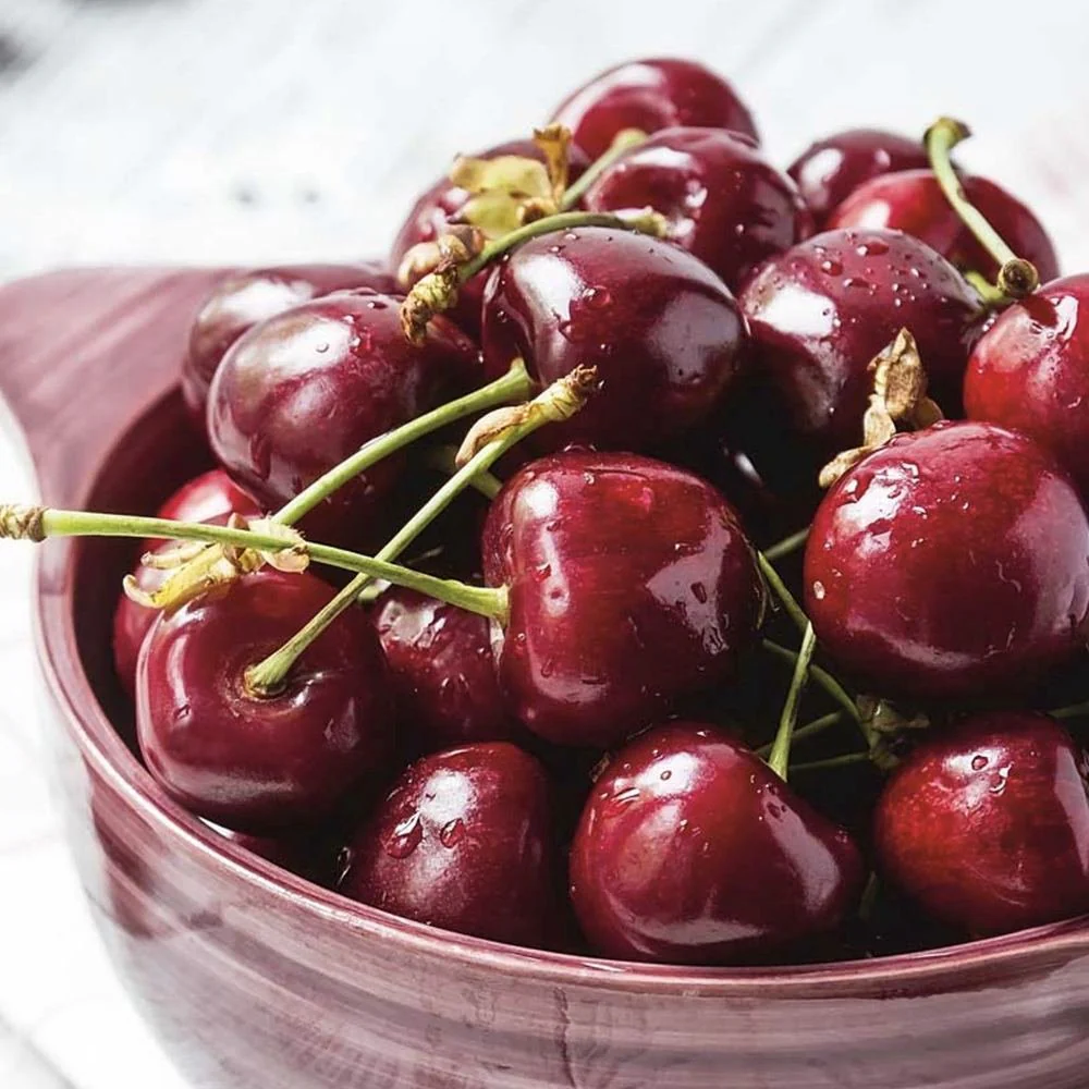 Cires Dulce (Prunus Avium) Stella, cu fructe dulci rosii-inchis, an 2 pe rod - Image 8