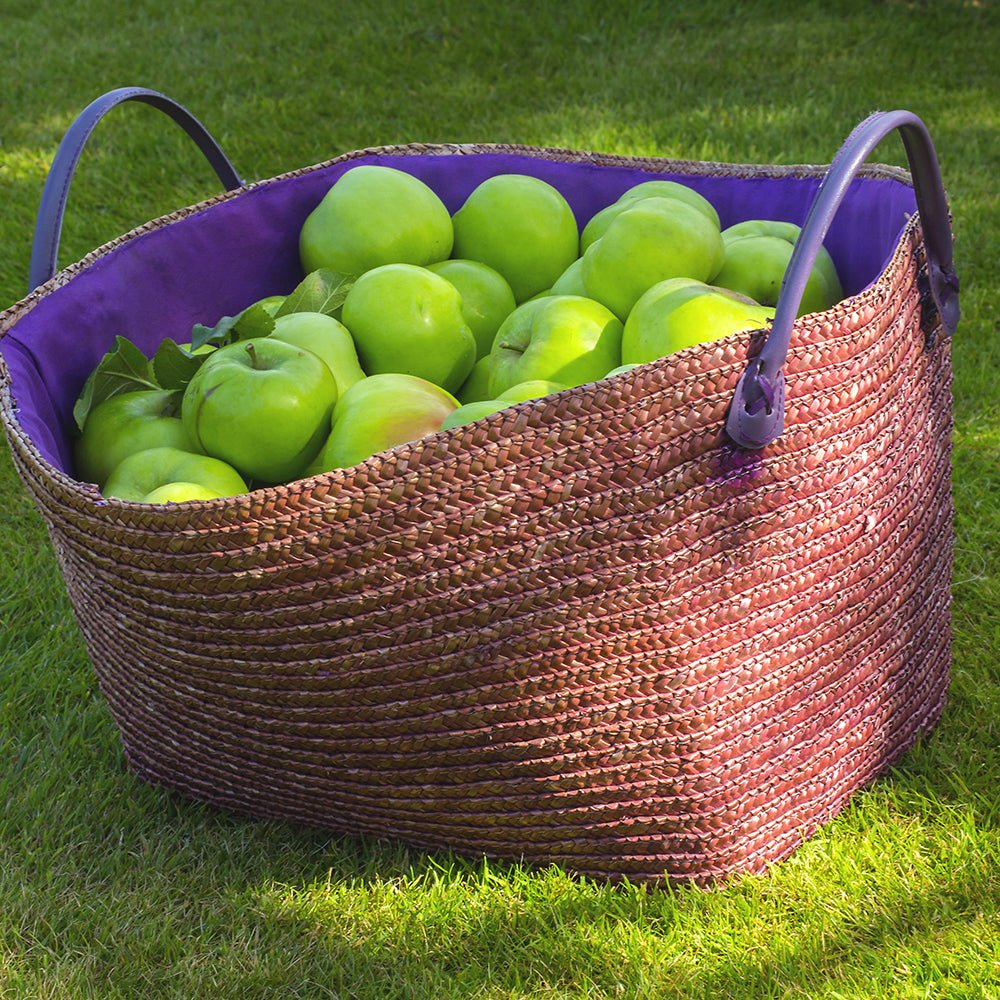 Mar Bramley'S Seeding - Image 4