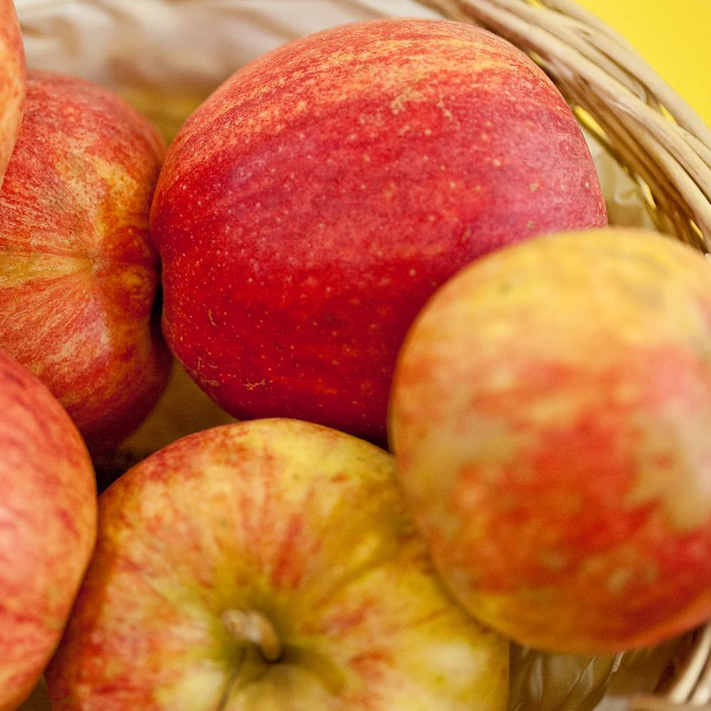 Mar Gala (Malus Royal), fructe rosii-dulci cu usoare note de vanilie si condimente, an 3 pe rod - Image 3