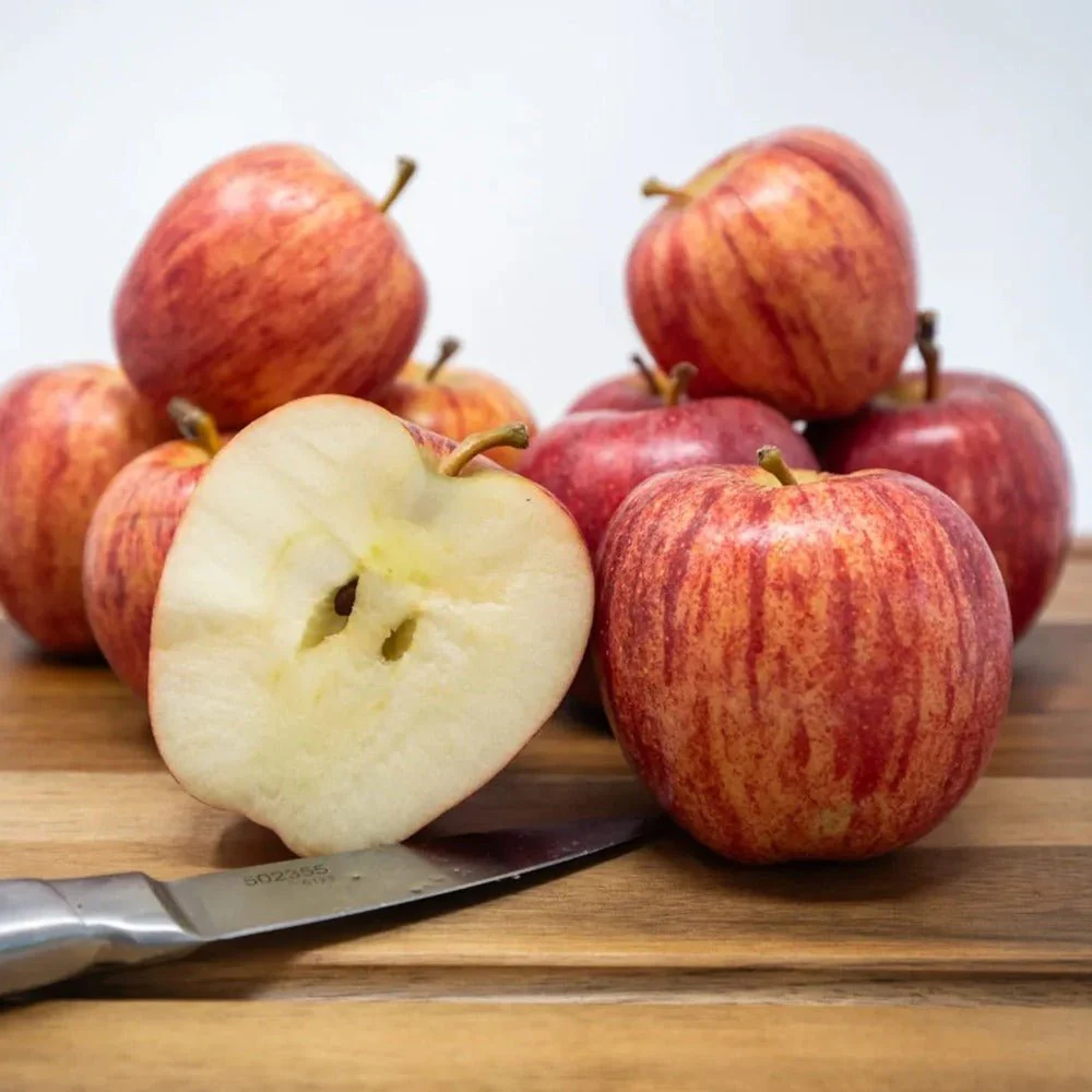 Mar Gala (Malus Royal), fructe rosii-dulci cu usoare note de vanilie si condimente, an 3 pe rod - Image 4