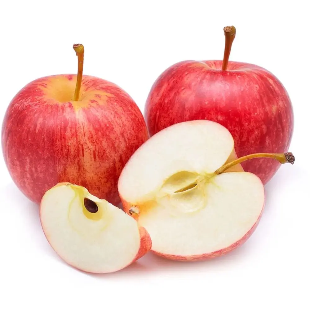 Mar Gala (Malus Royal), fructe rosii-dulci cu usoare note de vanilie si condimente, an 3 pe rod - Image 5