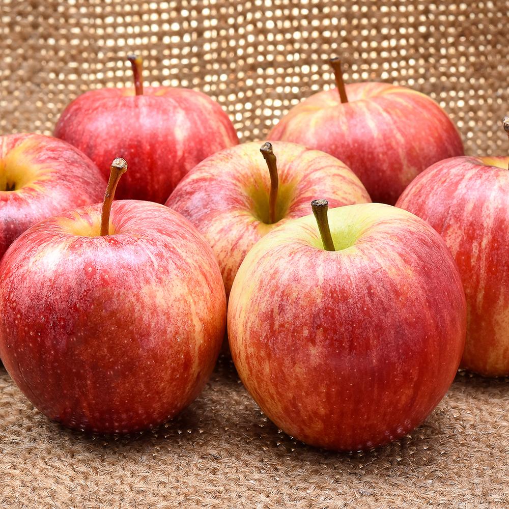 Mar Jonagold (Malus domestica), cu fructe dulci-acrisor, an 3 pe rod - Image 7