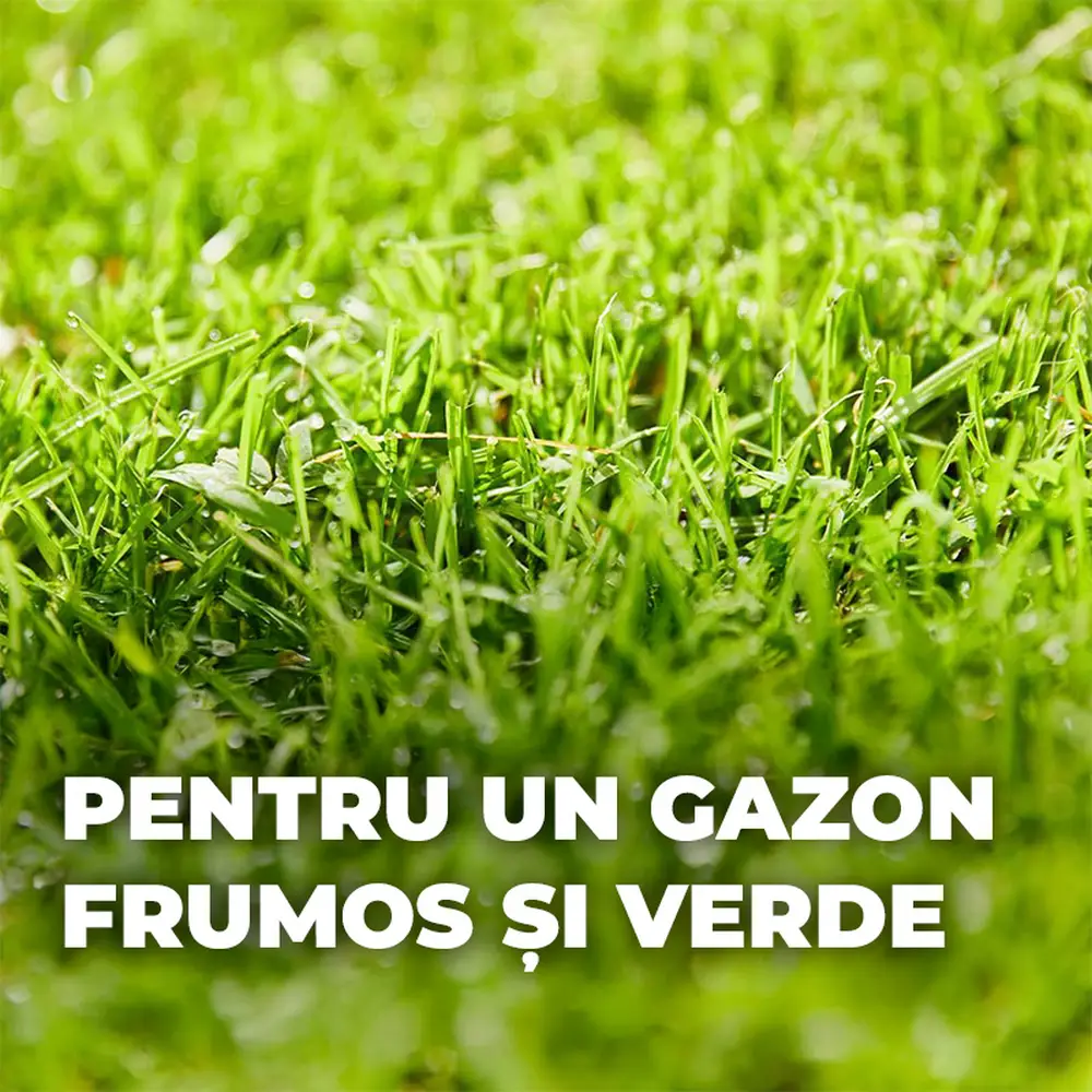 Seminte gazon Compo Turbo regenerare rapida 2.6 kg pentru 130 mp cu germinare sigura si rapida - Image 5