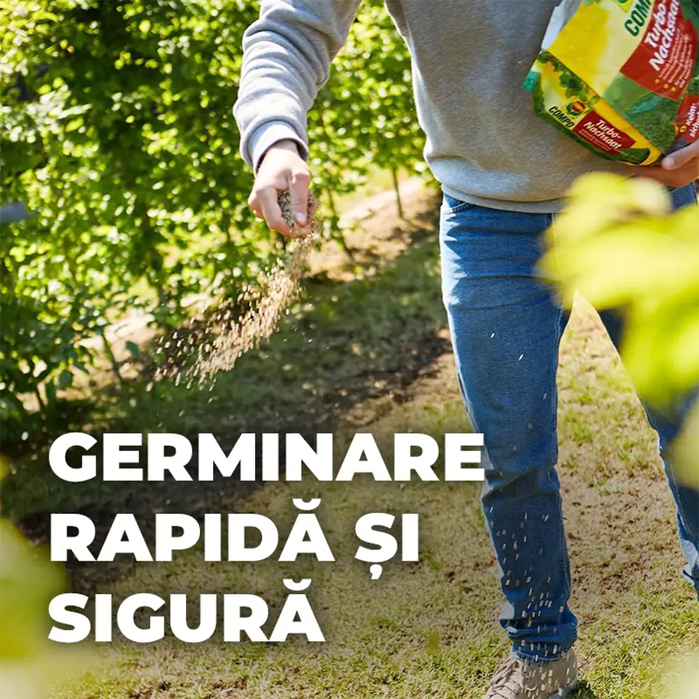 Seminte gazon Compo Turbo regenerare rapida 2.6 kg pentru 130 mp cu germinare sigura si rapida - Image 6