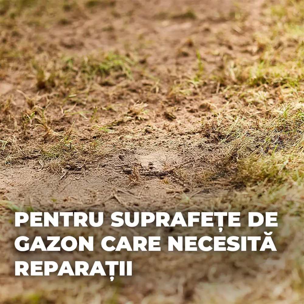 Seminte gazon Compo Turbo regenerare rapida 2.6 kg pentru 130 mp cu germinare sigura si rapida - Image 8