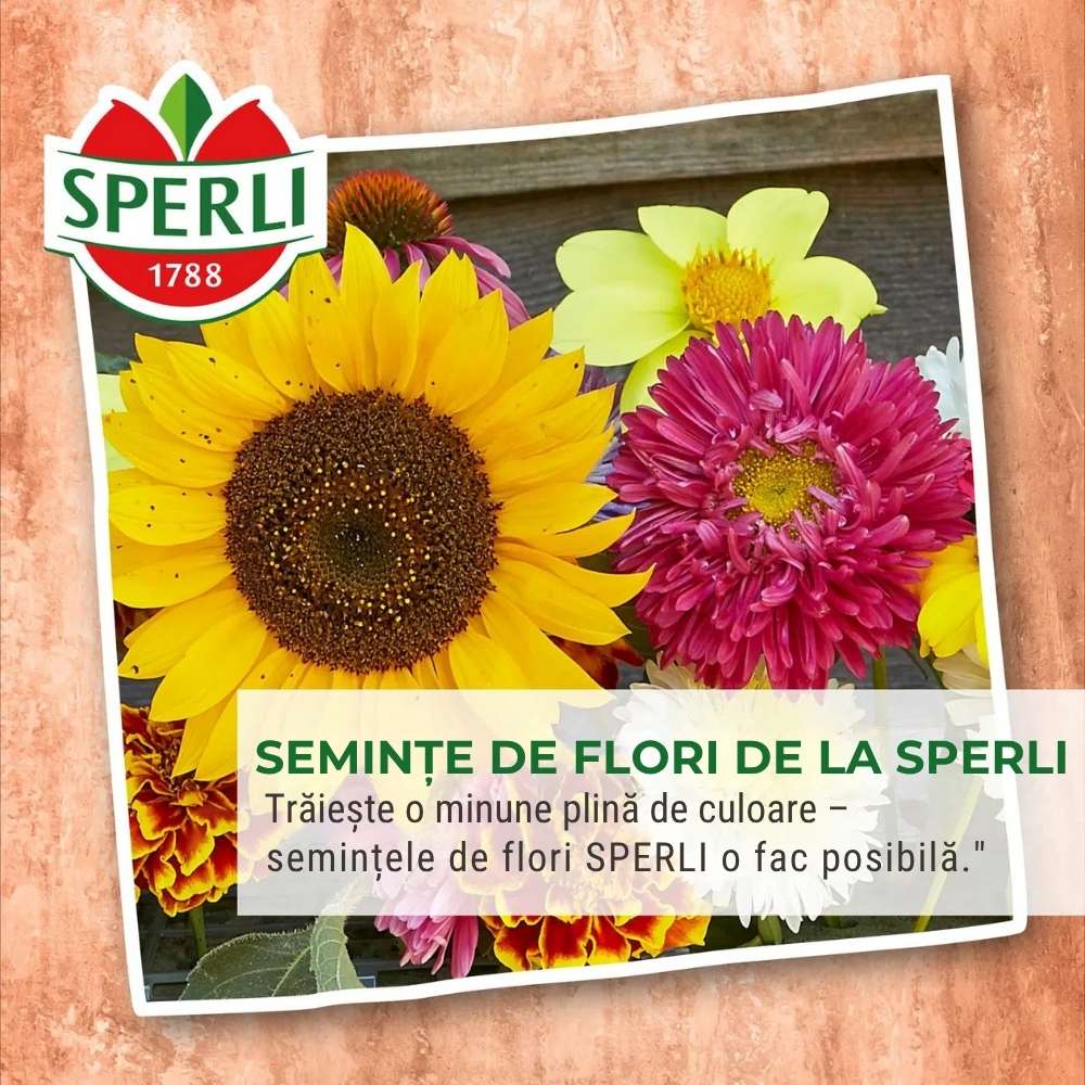 Seminte clopotei SPERLI – amestec dublu pentru gradina, ajunge pentru 100 Plante, cu protectie germinatie - Image 5