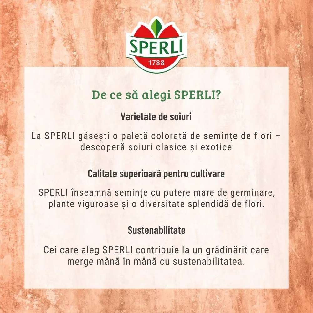 Seminte clopotei SPERLI – amestec dublu pentru gradina, ajunge pentru 100 Plante, cu protectie germinatie - Image 6