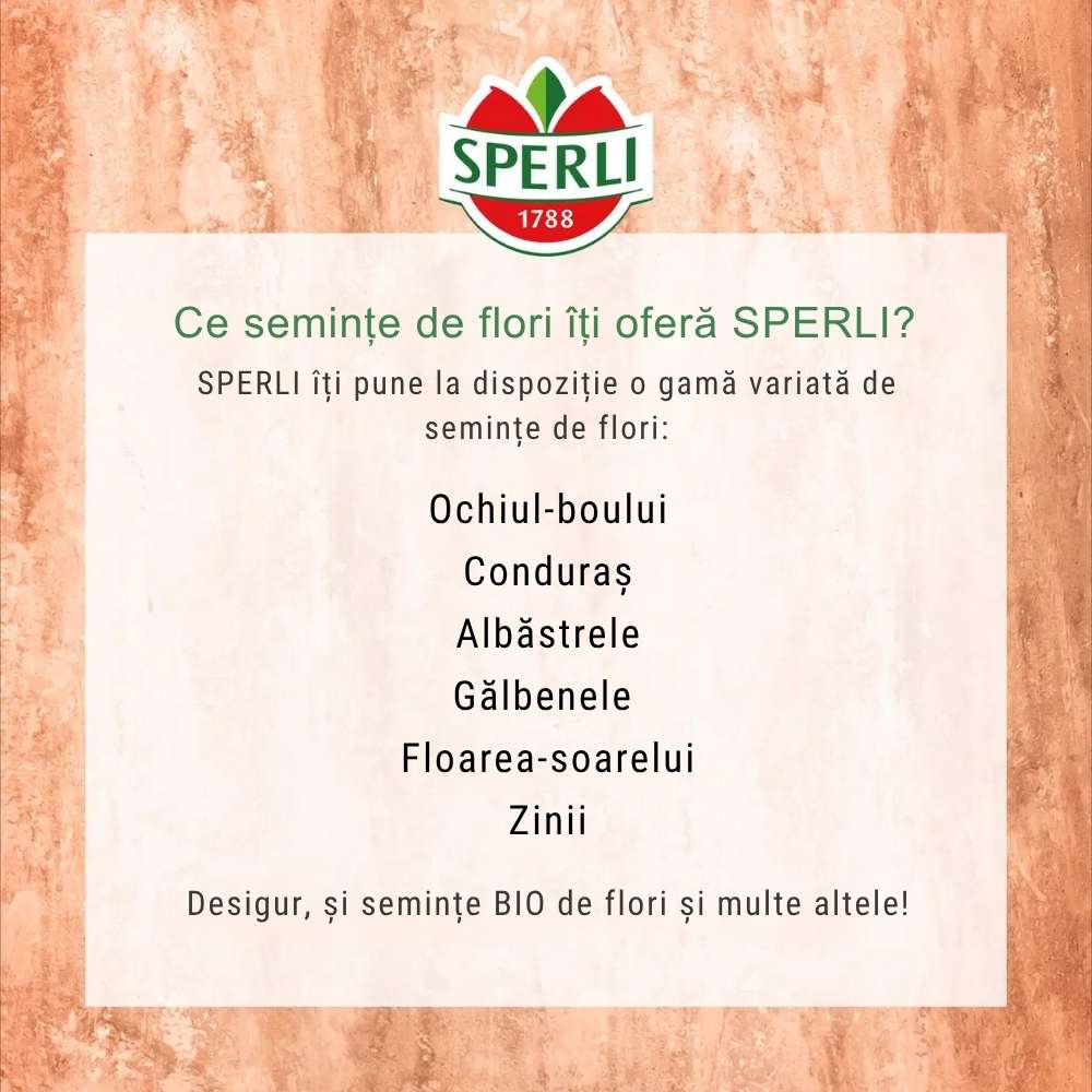 Seminte clopotei SPERLI – amestec dublu pentru gradina, ajunge pentru 100 Plante, cu protectie germinatie - Image 7