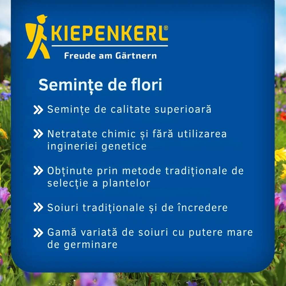 Seminte de barba-imparatului – amestec Duplika, flori bienale, ajunge pentru 60 Plante - Image 6