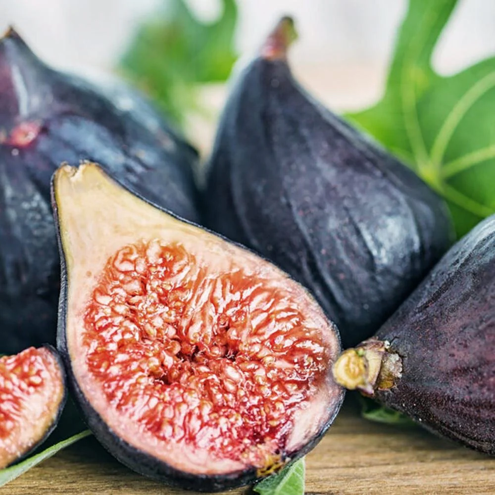 Smochin Copac (Ficus Carica) cu fructe dulci negre, an 2 pe rod - Image 5